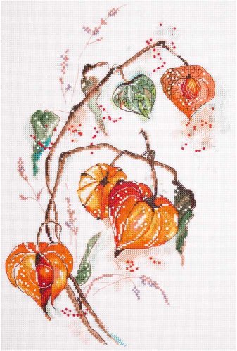 (image for) Physalis